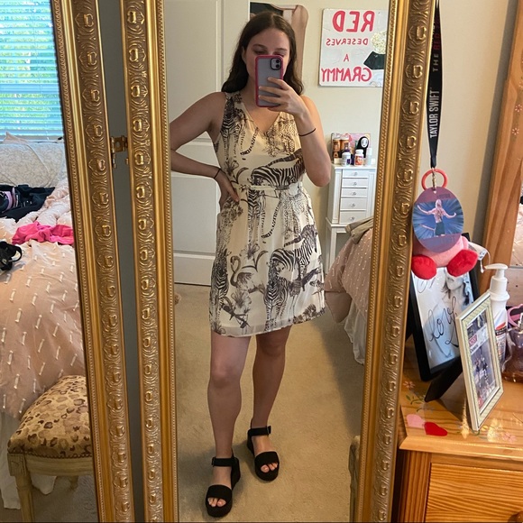 Vintage Madewell Zebra Dress - Picture 1 of 3